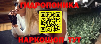 дмт Будённовск