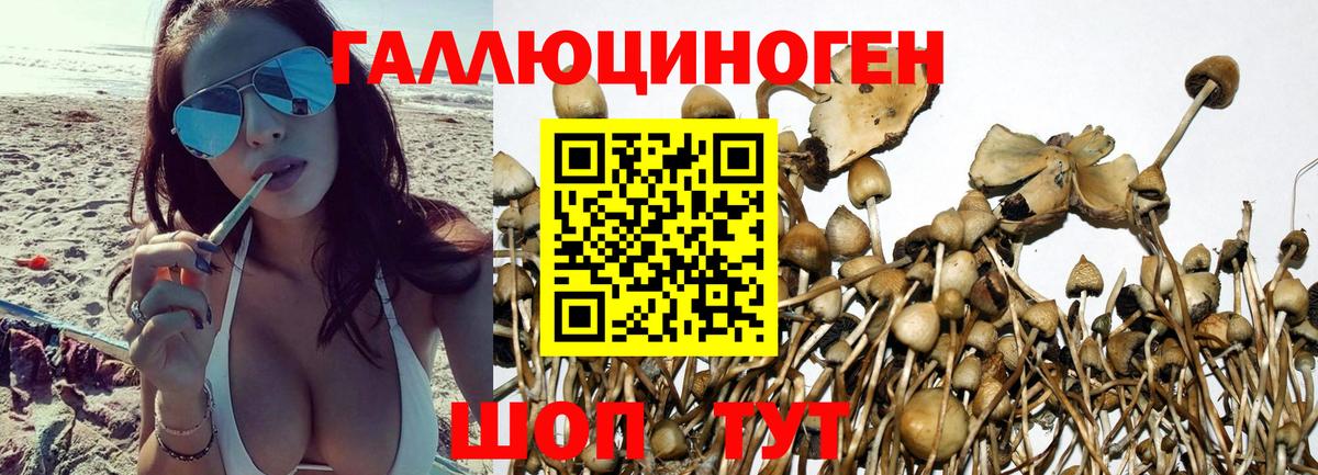 Галлюциногенные грибы Cubensis  Вход с VPN  Псилоцибиновые грибы Psilocybine cubensis  Сердобск 